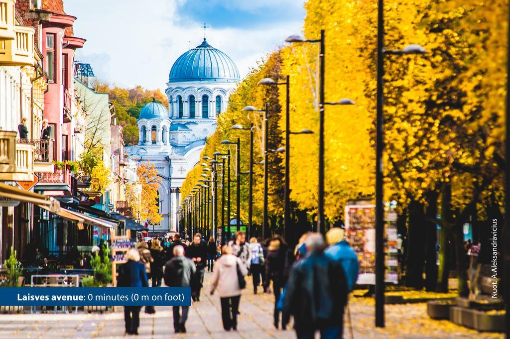 Kaunas City Exteriör bild